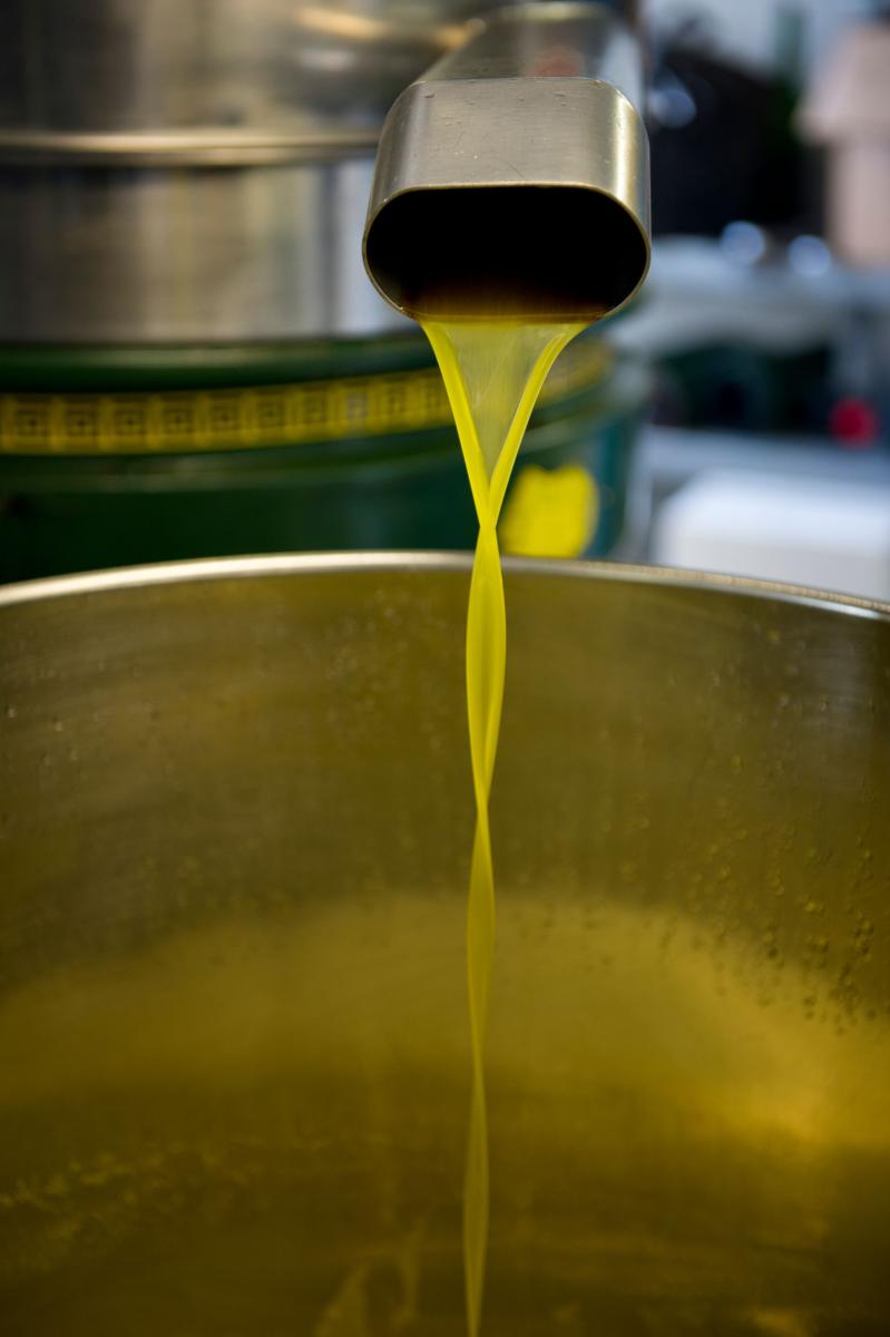 extraction de l'huile d'olives